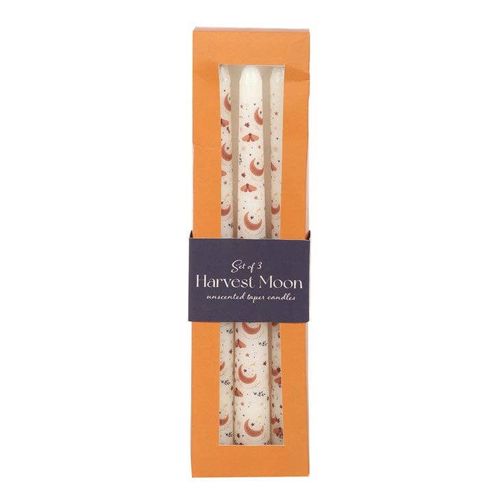 Lot de 3 bougies coniques « Harvest Moon ».